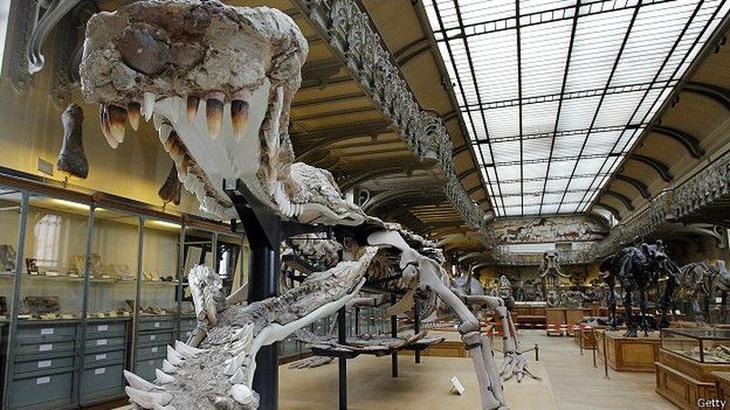 10 гигантских ископаемых животных