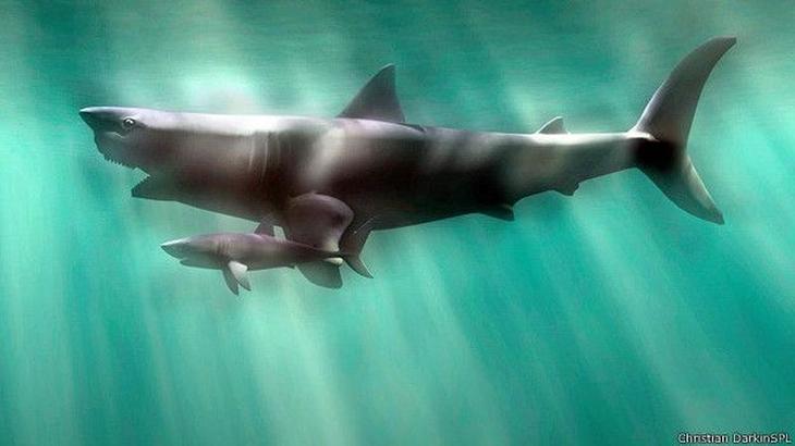 10 гигантских ископаемых животных