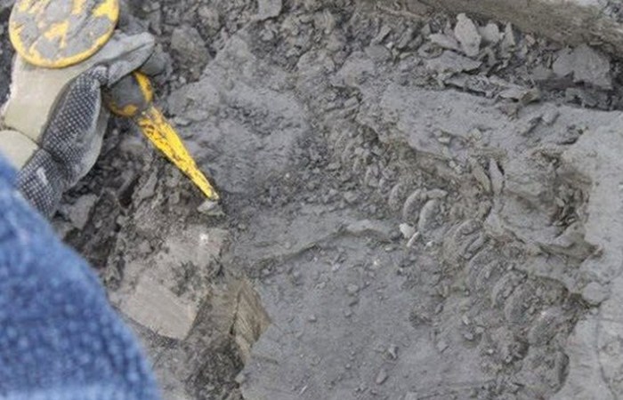 10 интригующих находок, которые были сделаны благодаря ненастью