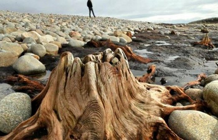 10 интригующих находок, которые были сделаны благодаря ненастью