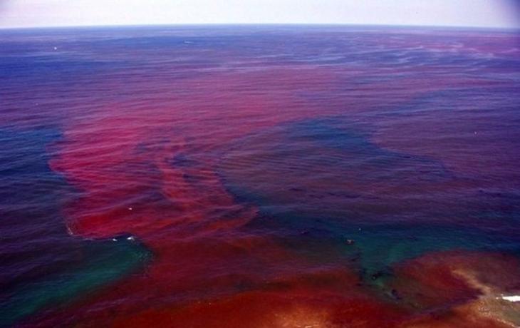 10 необычных природных явлений, которые можно наблюдать в Мировом океане