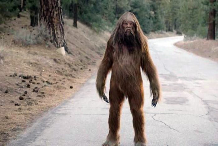 10 самых нелепых и смешных законов в мире