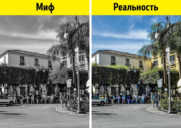 11 фактов, которые переворачивают наши представления о мире с ног на голову