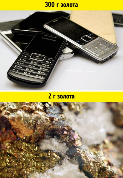 11 фактов, которые переворачивают наши представления о мире с ног на голову