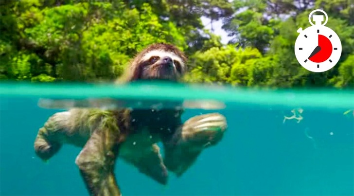 11 фактов, которые переворачивают наши представления о мире с ног на голову