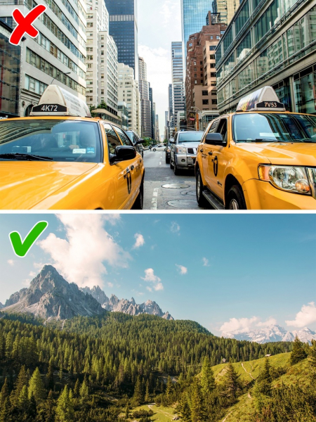 11 фактов, которые переворачивают наши представления о мире с ног на голову