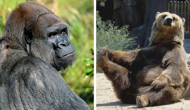 11 фактов, которые переворачивают наши представления о мире с ног на голову