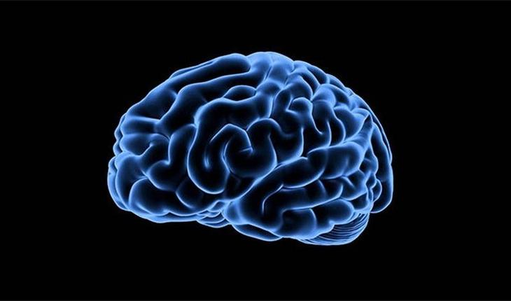 15 биологических отличий между мужчинами и женщинами