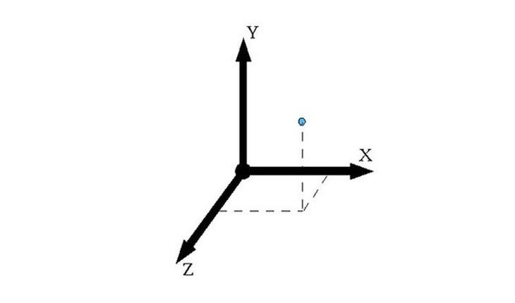 15 биологических отличий между мужчинами и женщинами