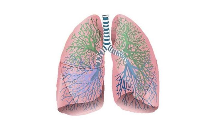 15 биологических отличий между мужчинами и женщинами