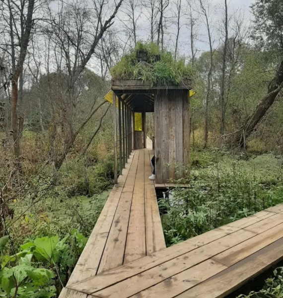 «3-4 тысячи за ужин — это перебор»: противоречивый отзыв об отдыхе в Подмосковье