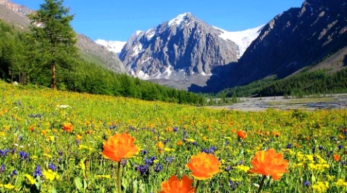 6 отечественных туристических мест, которые популярны среди иностранцев