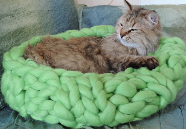 Делаем дом для кошки своими руками