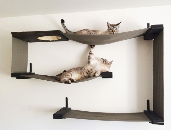 Делаем дом для кошки своими руками