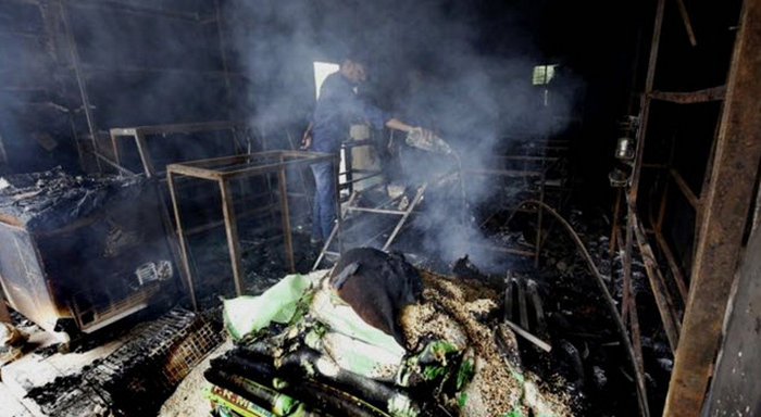 Факты о мире, которые не соответствуют популярным стереотипам