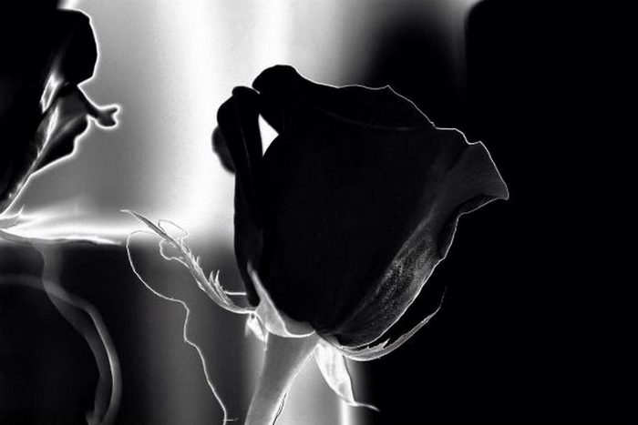 Факты о планете Земля, которые будут интересны и детям, и взрослым