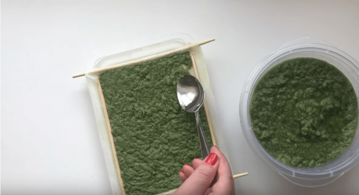 Необычный способ использования коробки от яиц