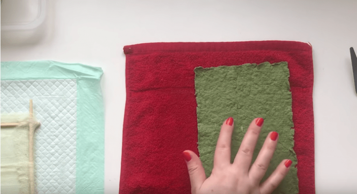 Необычный способ использования коробки от яиц