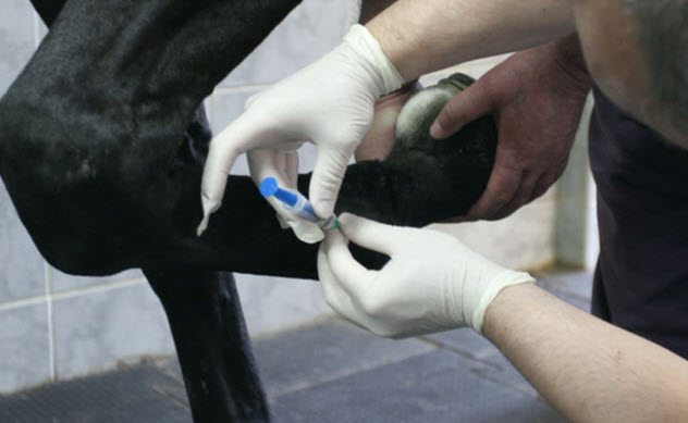 Невероятные трюки, которые ученые впервые провернули с ДНК