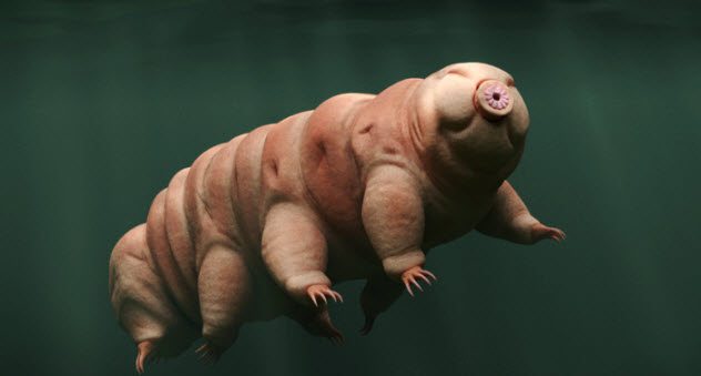 Невероятные трюки, которые ученые впервые провернули с ДНК