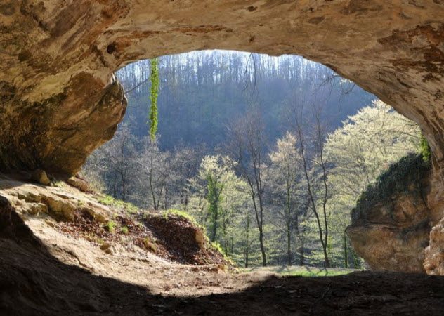 Невероятные трюки, которые ученые впервые провернули с ДНК
