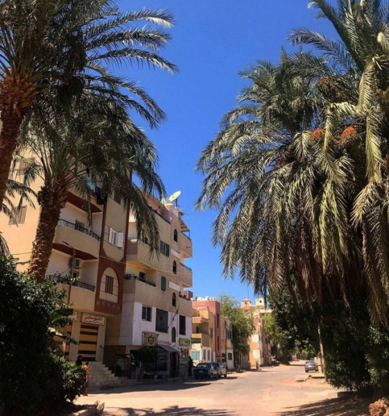 «Никаких шумных тусовок и пенсионеров с внуками»: отзыв о бюджетном отеле Египта