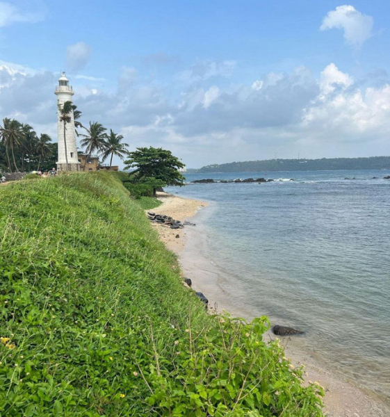 «Отзывы не читали, минусов не искали»: рассказ об отдыхе в бюджетном отеле на Шри-Ланке