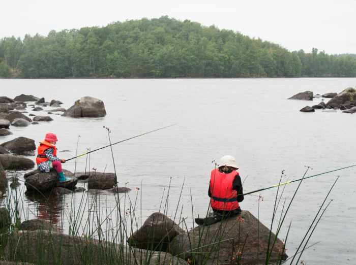Сладости по субботам, отказ от наличных: вещи, которыми шведы очень отличаются от нас