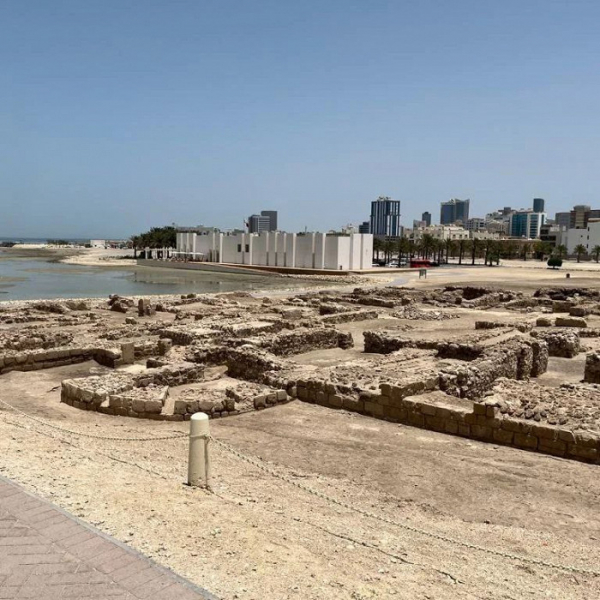 «Софт все включено», полная безопасность и ухоженные верблюды: восторженный отзыв о Бахрейне