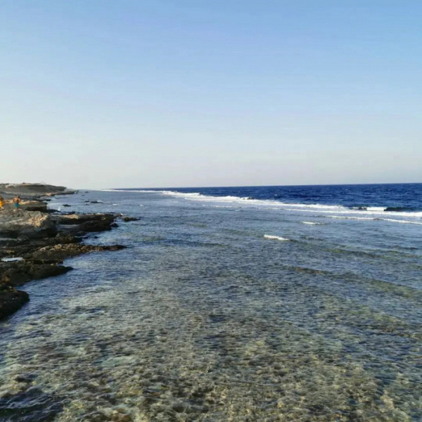 «За забором ничего, вообще ничего»: отзыв об отдыхе в Марса-Аламе