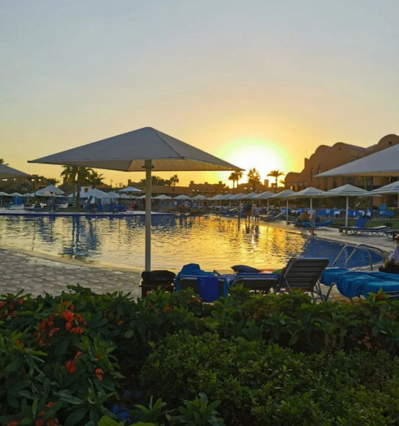 «За забором ничего, вообще ничего»: отзыв об отдыхе в Марса-Аламе