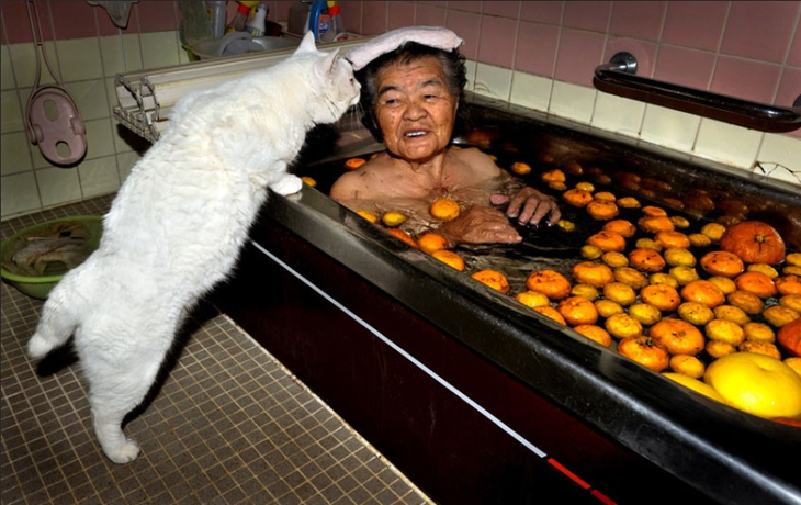 10 фактов о Японии, которые могут вас удивить