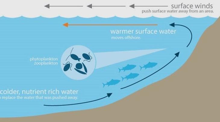 10 странных фактов, связанных с глубинами океана
