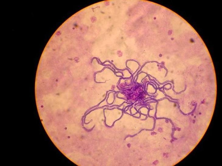 10 странных фактов, связанных с глубинами океана