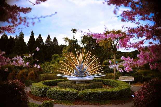 11 главных достопримечательностей Окленда