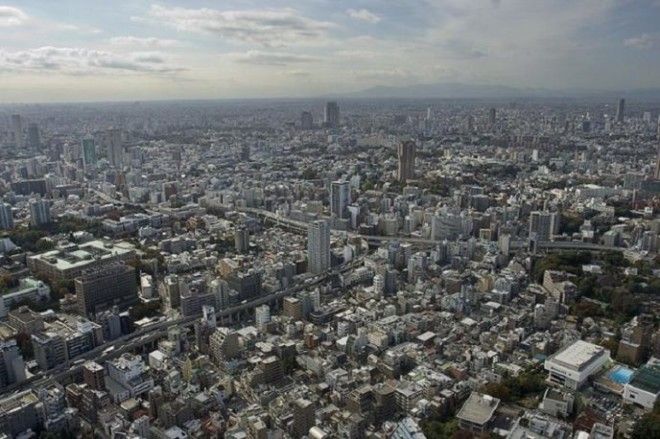 13 невероятных фактов, в которые верится с трудом