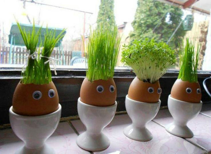 15 замечательных способов озеленения квартиры, которые добавят свежести интерьеру