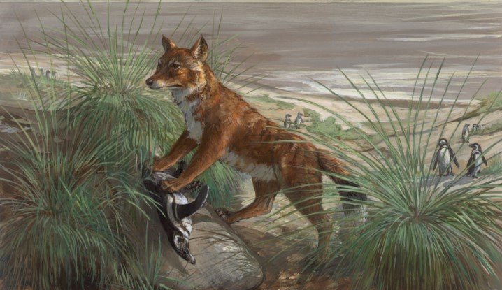 20 видов животных, вымерших в результате человеческой деятельности