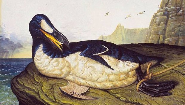 20 видов животных, вымерших в результате человеческой деятельности