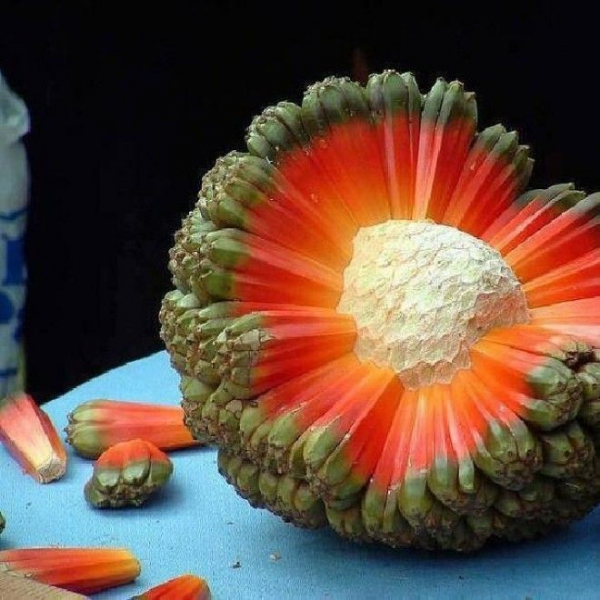 22 фрукта, о которых Вы никогда не слышали