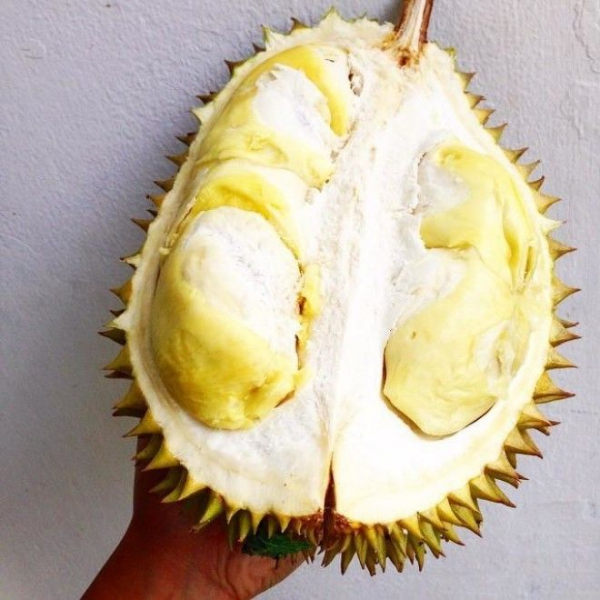 22 фрукта, о которых Вы никогда не слышали