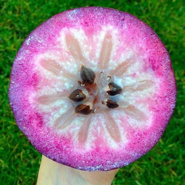 22 фрукта, о которых Вы никогда не слышали