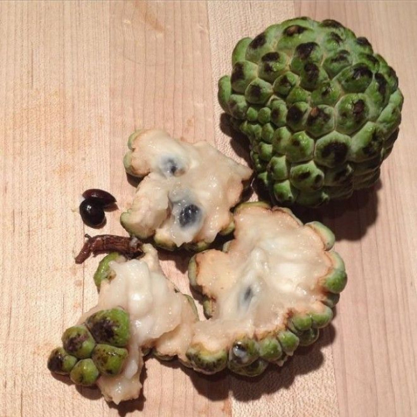 22 фрукта, о которых Вы никогда не слышали