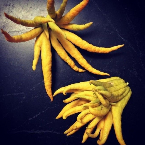 22 фрукта, о которых Вы никогда не слышали