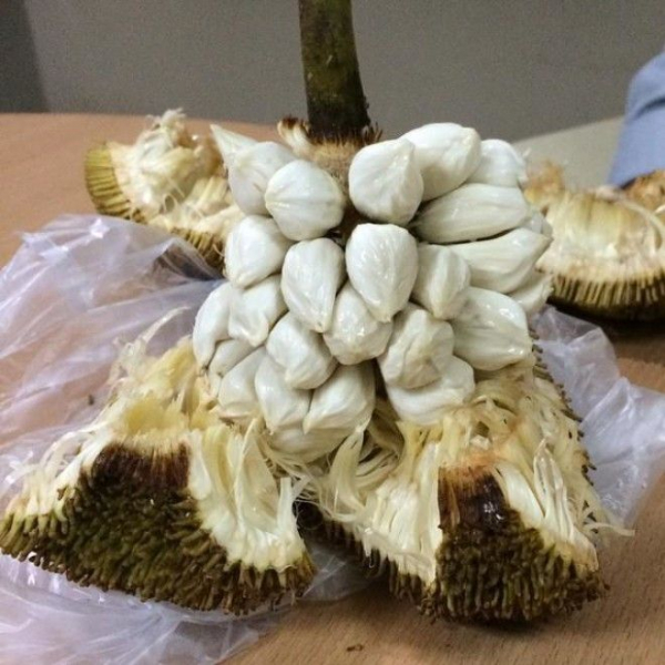 22 фрукта, о которых Вы никогда не слышали