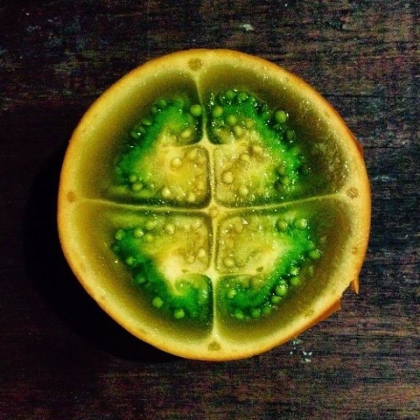 22 фрукта, о которых Вы никогда не слышали