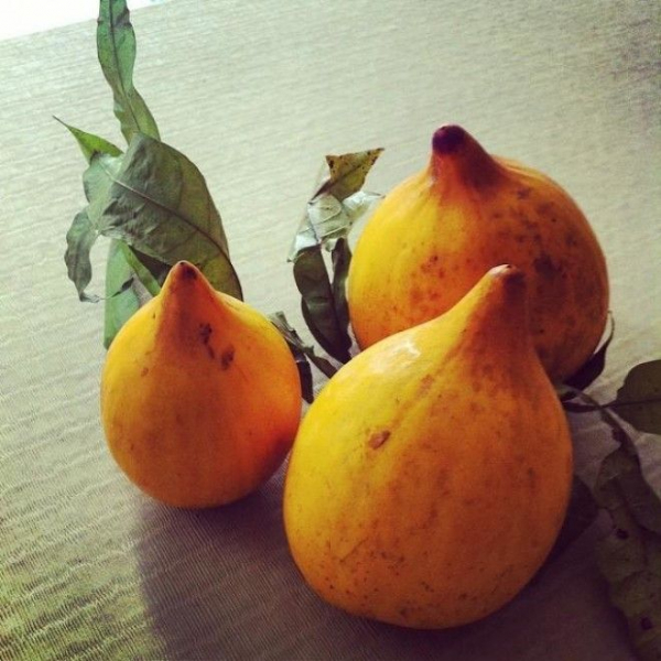 22 фрукта, о которых Вы никогда не слышали