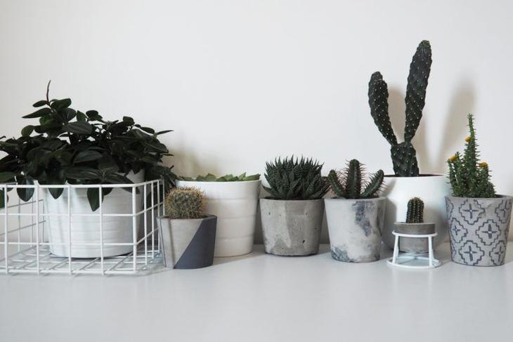 33 простых цветочных горшка, сделанных из обычного цемента