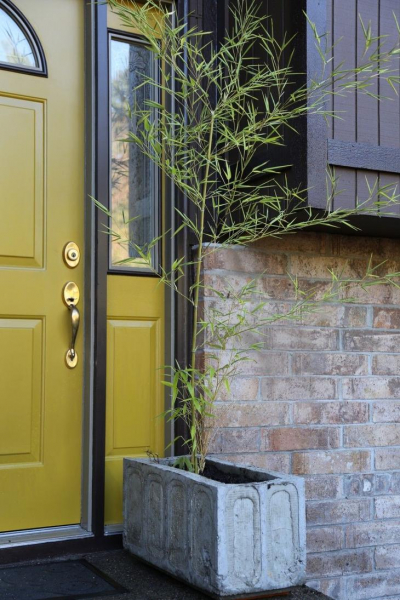 33 простых цветочных горшка, сделанных из обычного цемента