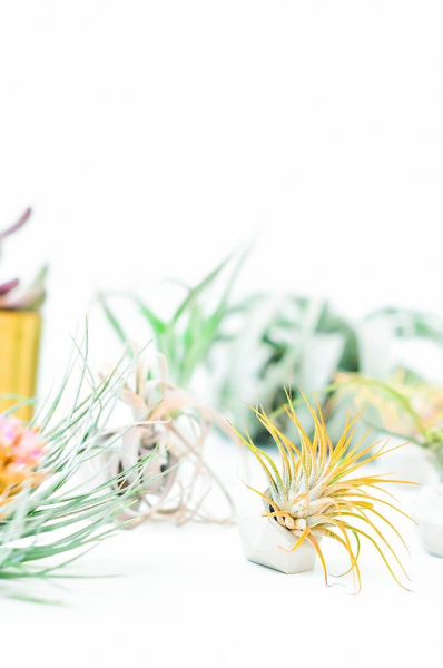 33 простых цветочных горшка, сделанных из обычного цемента